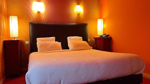 Le Faisan Dore - image 4