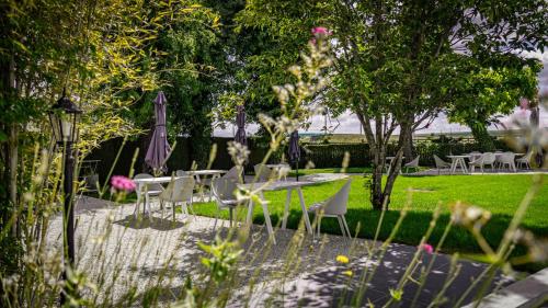 Le Faisan Dore - image 9