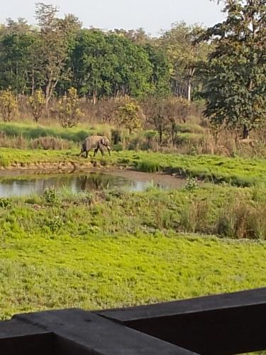 Jungle Base Camp in Thakudwara