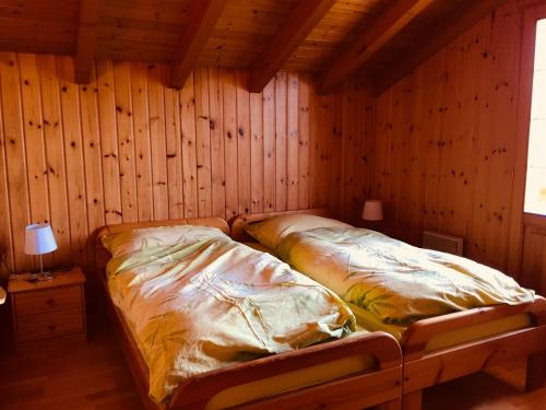 Chalet Papillon in Mase, Schweiz