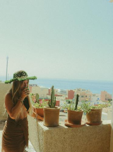 View, cactus surf experience in Imsouane