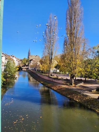 La Petite Alsacienne, Strasbourg