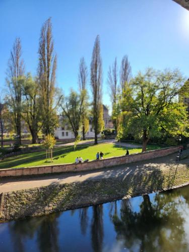 La Petite Alsacienne, Strasbourg (photo 7)
