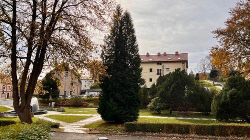 W centrum uzdrowiska