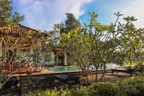 Piscina, Emel's Retreat by Tropical Magnum in Dodanduwa