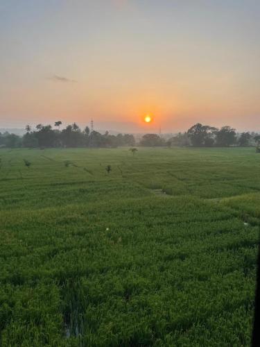 Surrounding environment, Polaris- Kurunegala in Gettuwana