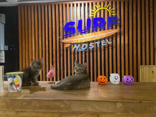 Surf Hostel Krabi - 로비