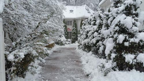 FOREST RETREAT Luxury Villas - Accommodation - Busteni