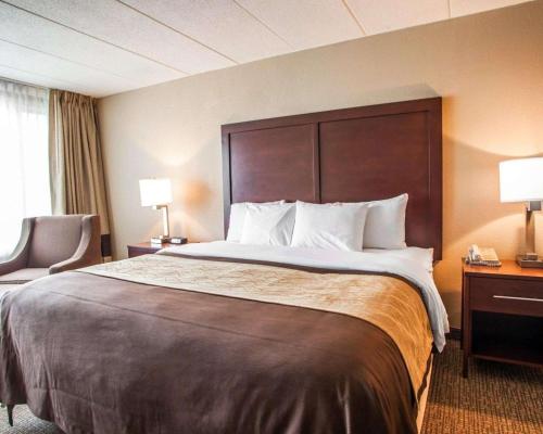 Quality Inn & Suites Orland Park - Chicago - image 7