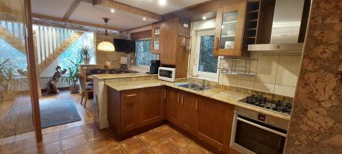 Faciliteiten, "FOREST RETREAT Luxury Villas" in Poiana Tapului