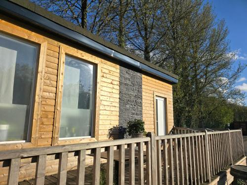 The Dutch Tulip Mallow in Mallow