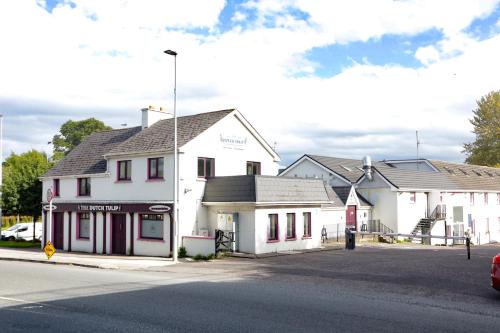 The Dutch Tulip Mallow in Mallow