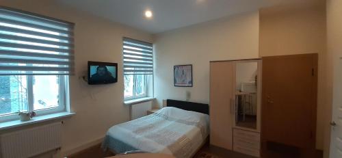 Studio room in Kaunas Apartments