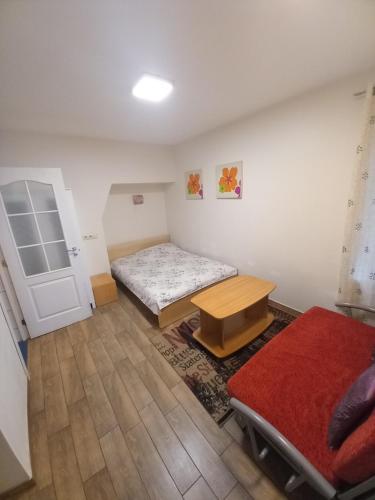 Small Studio room in Kaunas Apartments