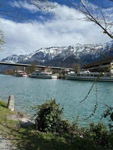Studio 104 - Riverside, Interlaken (Foto 6)