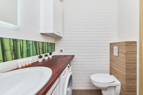 Wrocław Rose Apartments by Renters - image 10