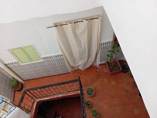 La maison des oiseaux in Tlemcen