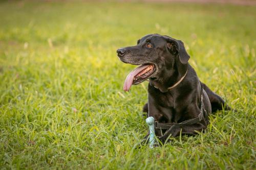 Hotel Boomerang Roma - main image