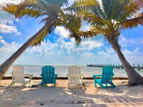 Palms Resort Beach Key West - Guest House in Key West, USA