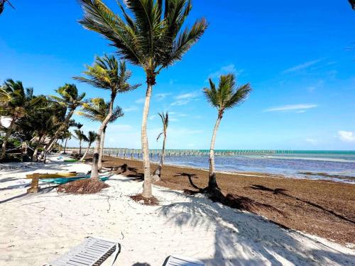 Bungalows Beach Key West - Azucar in Key West, USA