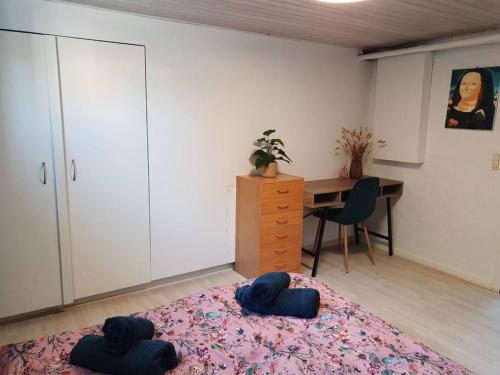 Cozy basement apartment in the center in Hirtshals