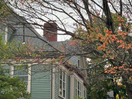 Harvard Rooms - 2BR Retreat adjacent to university in Cambridge, USA