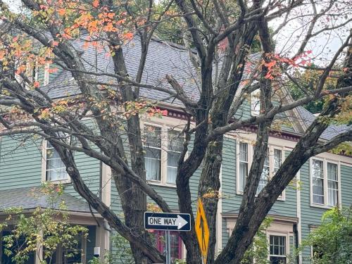 Harvard Rooms - 2BR Retreat adjacent to university in Cambridge, USA