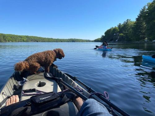 Stunning Lake House Cabin & Private Dock!