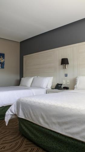Holiday Inn Express Pachuca, an IHG Hotel in Pachuca de Soto, Mexico