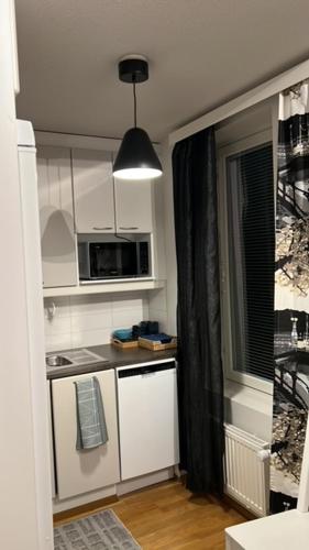 Studio Sini in Ahkiomaa