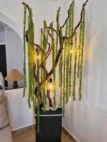 Paradise Room in Puerto Vallarta, Mexico