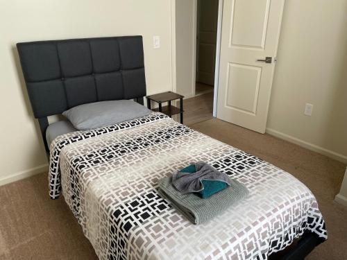 Bright, sunny Newark apartment!