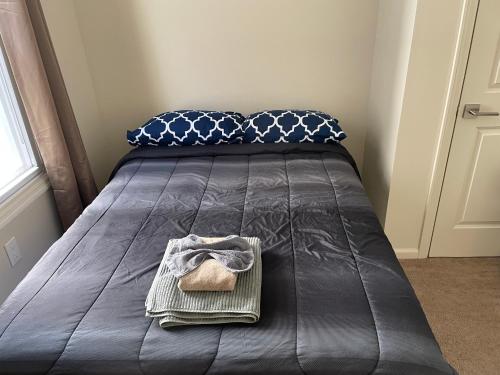 Bright, sunny Newark apartment!