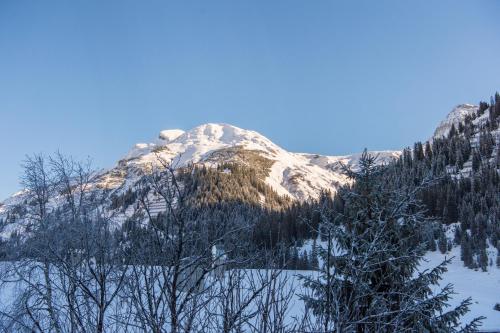 Bürstegg