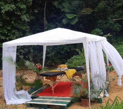 Camping à la ferme Camping à la ferme