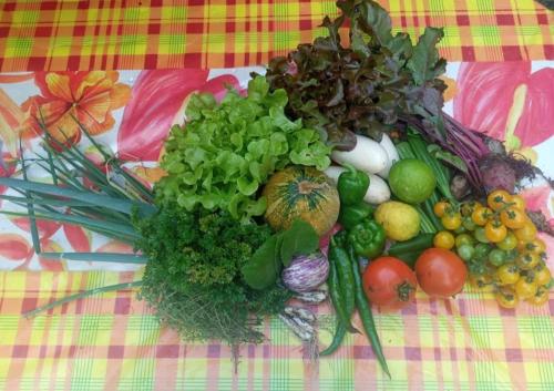 Camping à la ferme Camping à la ferme