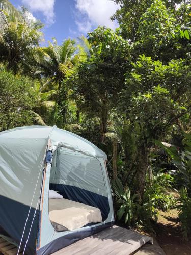 Camping à la ferme Camping à la ferme