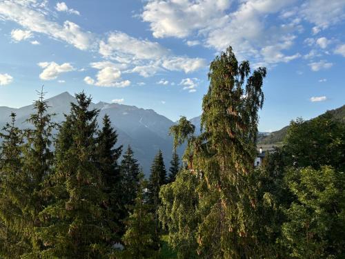 Rifugio tra le stelle AV - cozy top floor terrace apt with mountain views