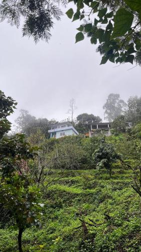 Alpine Fruits Dale Kanthalloor
