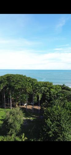 Las Palmeras in Nueva Gorgona