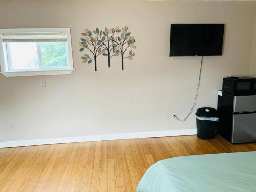 Large Sunny room near Whole Foods, Brown University with shared bathroom and kitchen in Providence, USA
