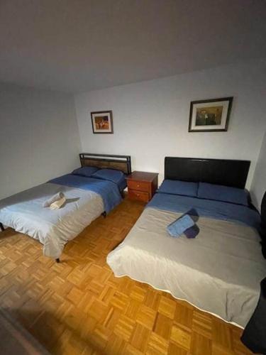 One bedroom apartment with 2 bed - 560