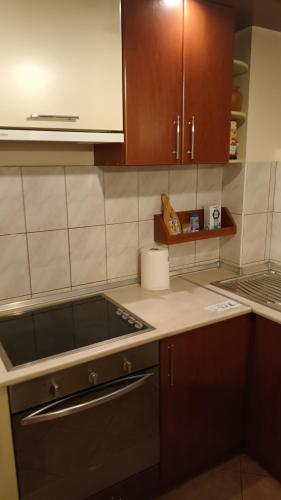 Simon's apartment, Skopje (fotografie 4)