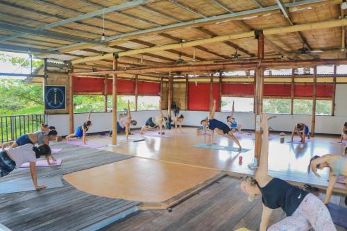 Serenity Eco Guesthouse and Yoga- CHSE certified - image 2