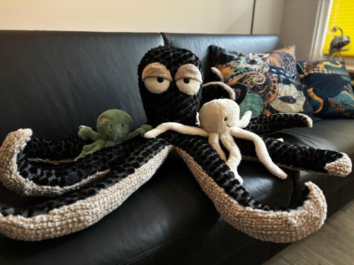 Oktopus, Neustadt in Holstein (fotografie 8)
