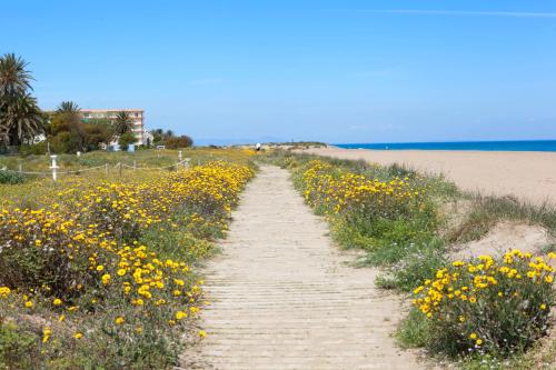 Hotel Rosa - image 7