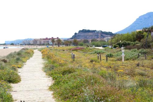 Hotel Rosa - image 6