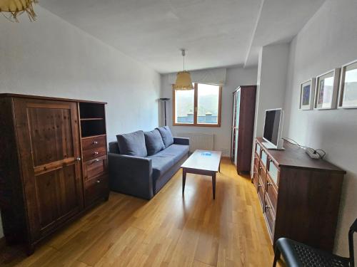 Apartamentos 3000 Formigal - 편의 시설/서비스