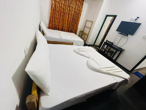 EESTEE Canal - image 3