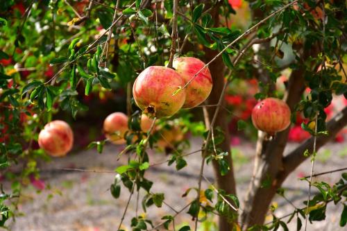 Room in Holiday house - Casa Alemanes Villas Cruz Mayor